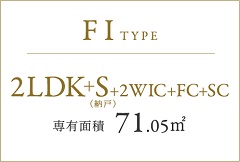 FItype